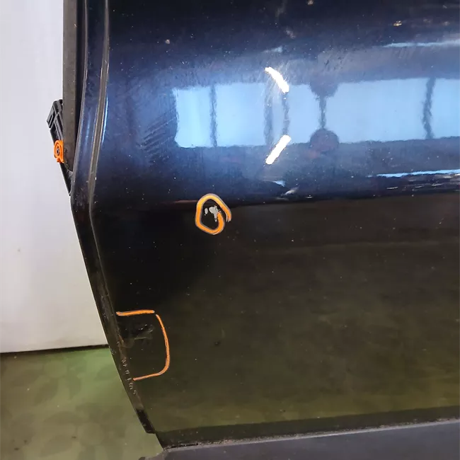 Porta posteriore sinistra