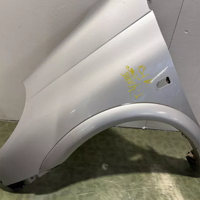 Parafango posteriore sinistro