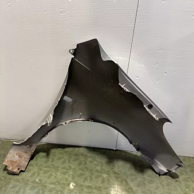 Parafango posteriore sinistro