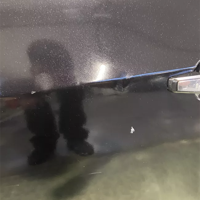 Porta posteriore sinistra