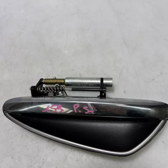 Maniglia porta posteriore sinistra primer