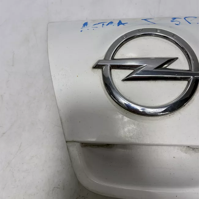 Maniglia portello posteriore primer