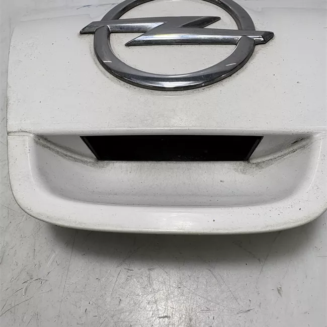 Maniglia portello posteriore primer