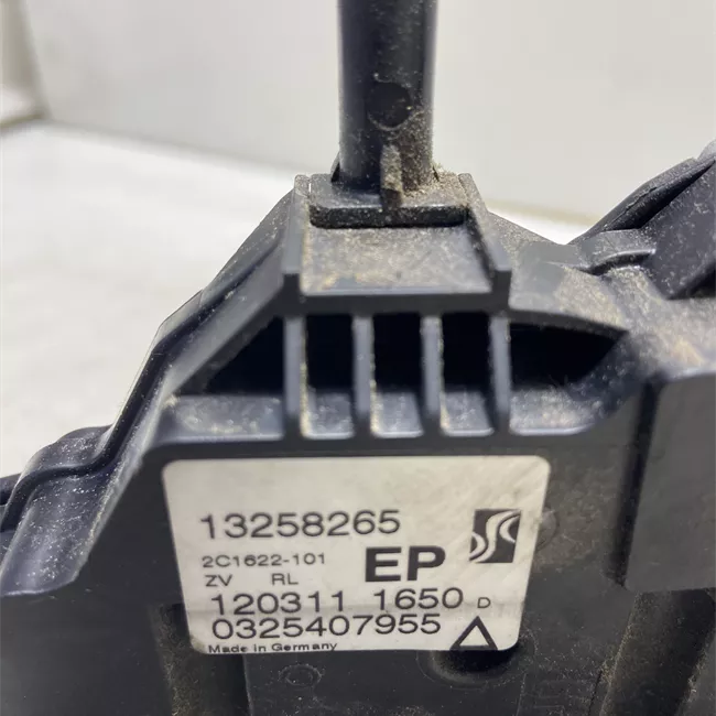 Serratura porta posteriore sinistra