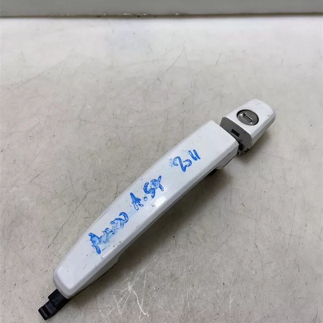 Maniglia porta anteriore sinistra primer