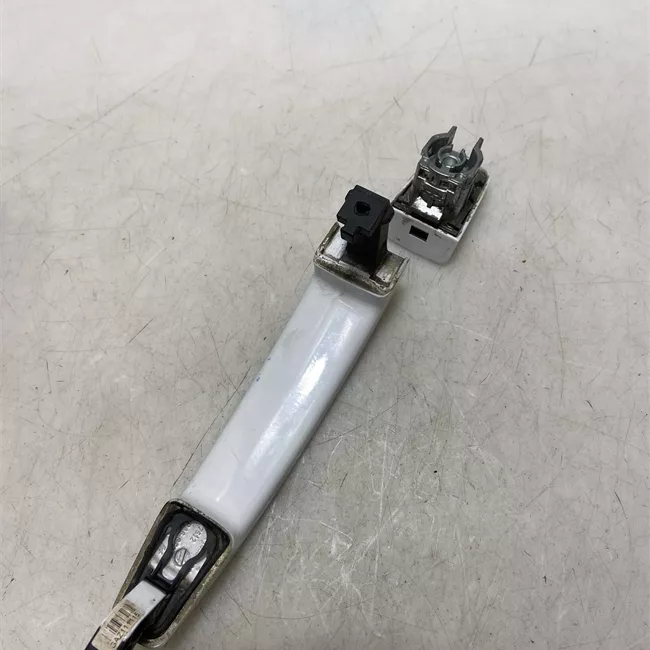 Maniglia porta anteriore sinistra primer