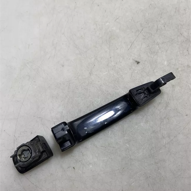 Maniglia porta anteriore sinistra primer