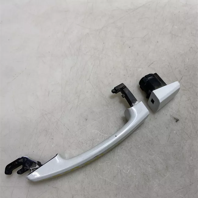 Maniglia porta posteriore sinistra primer