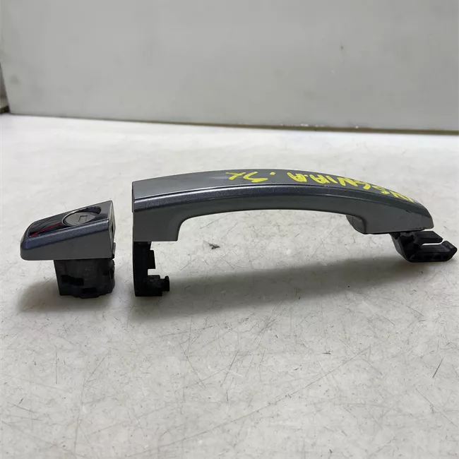 Maniglia porta anteriore sinistra con striscia cromata primer