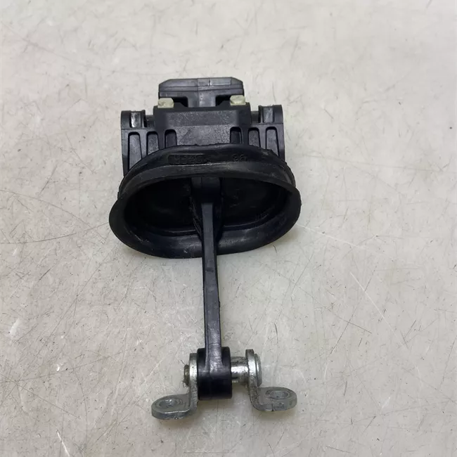 Fermo porta posteriore sinistro