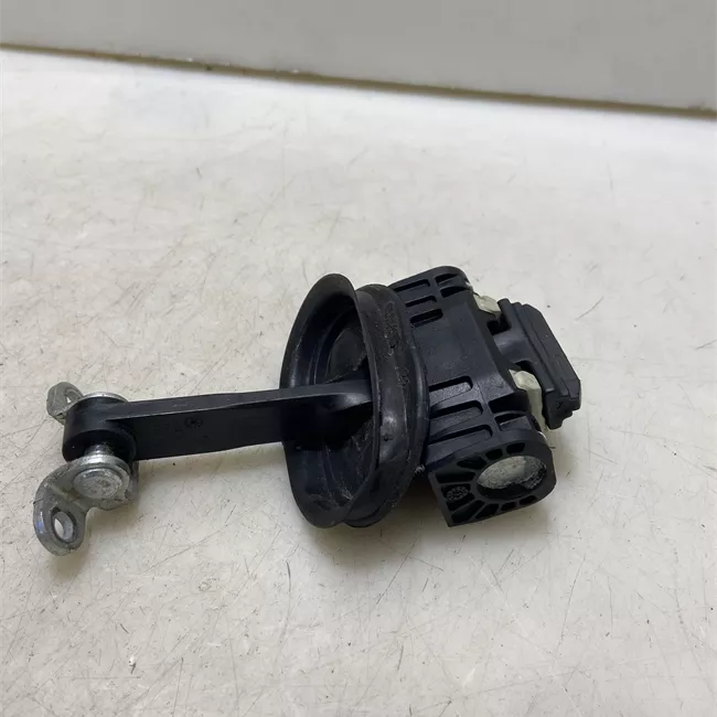 Fermo porta posteriore sinistro