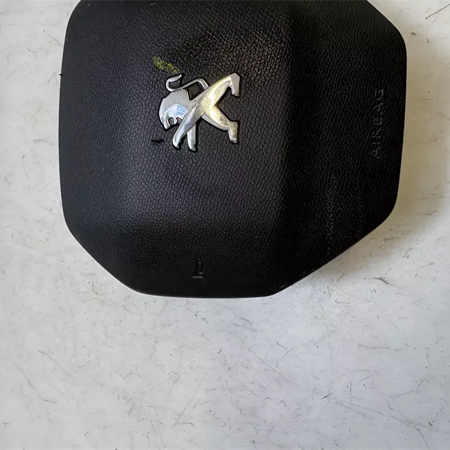 Dispositivo airbag lato guida