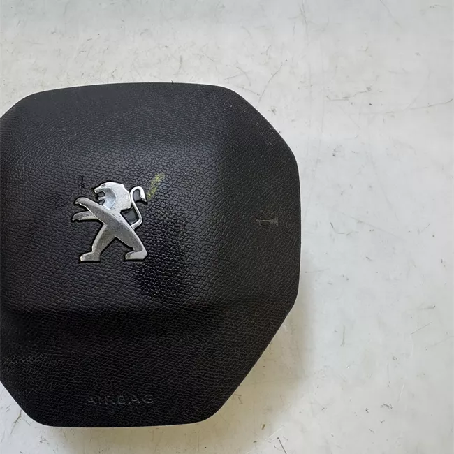 Dispositivo airbag lato guida