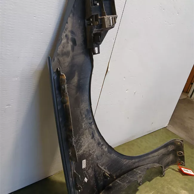 Parafango anteriore sinistro