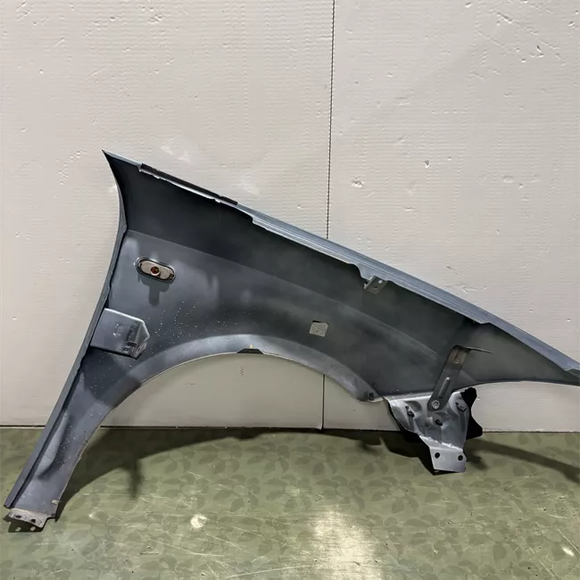 Parafango anteriore sinistro