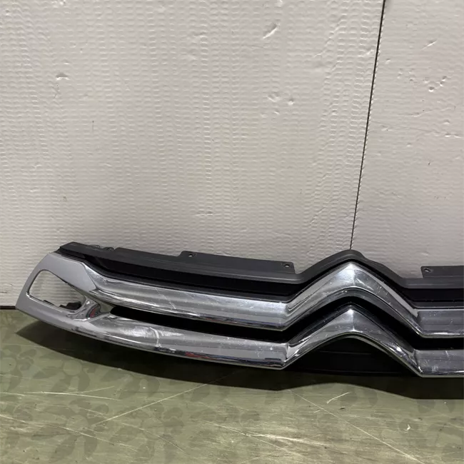 Griglia con stemma cromo