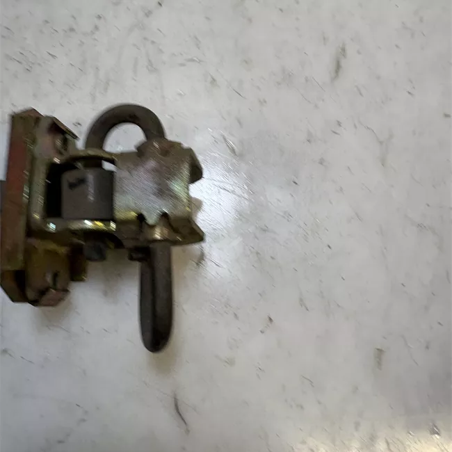 Fermo porta anteriore sinistro