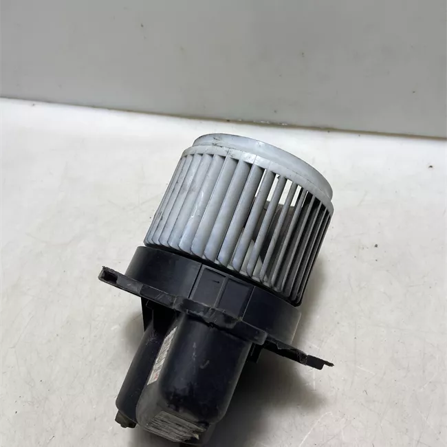 Motorino ventilazione abitacolo