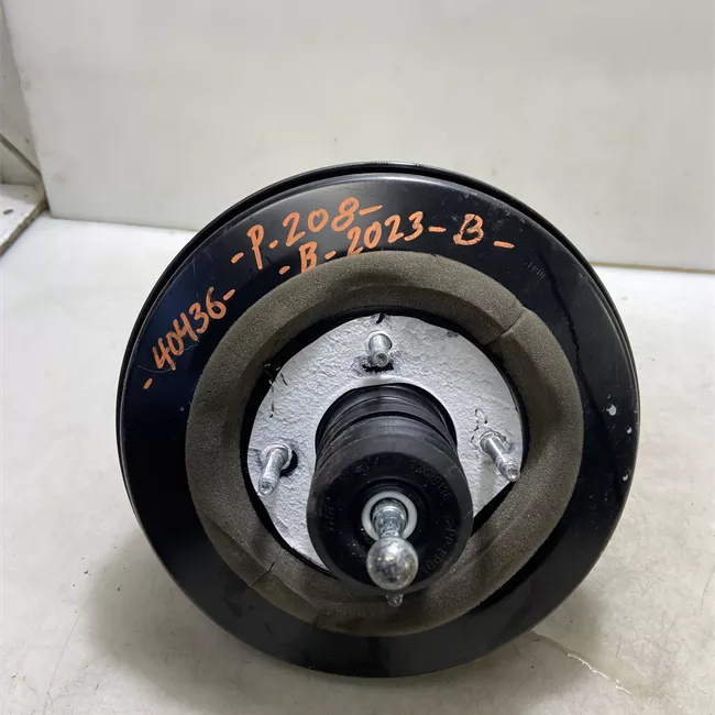 Servofreno p/controllo stabilità c/guarn