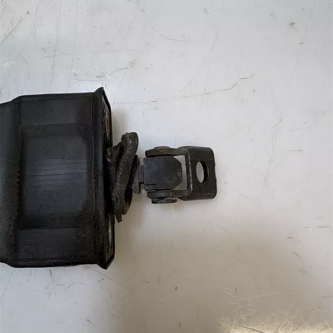 Fermo porta posteriore sinistro