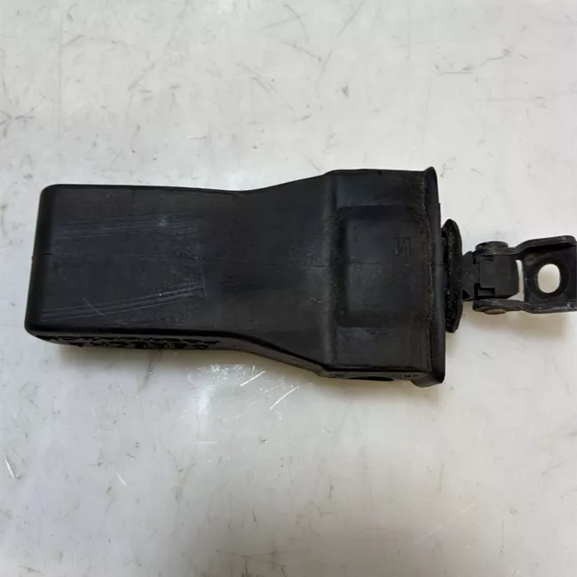 Fermo porta posteriore sinistro