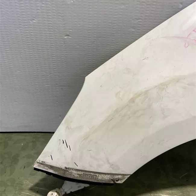 Parafango anteriore sinistro