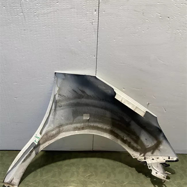 Parafango anteriore sinistro