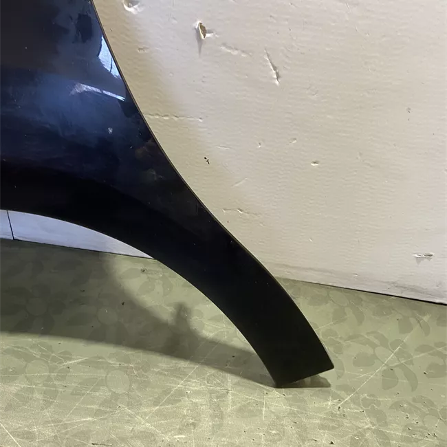 Parafango anteriore sinistro