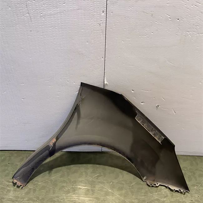 Parafango anteriore sinistro