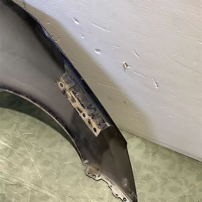 Parafango anteriore sinistro