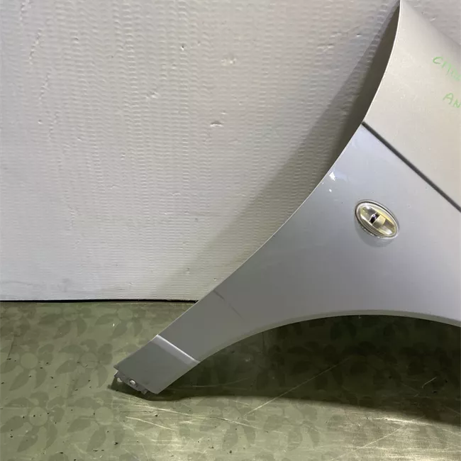 Parafango anteriore destro