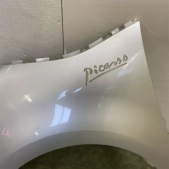 Parafango anteriore sinistro