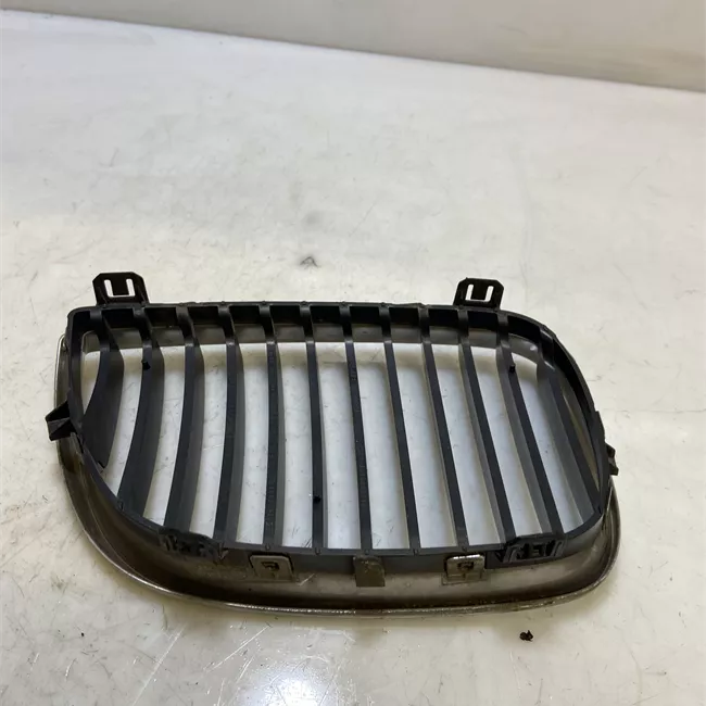 Griglia sinistra cromo