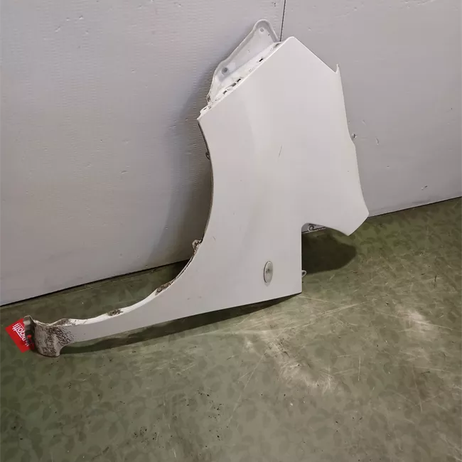 Parafango anteriore sinistro