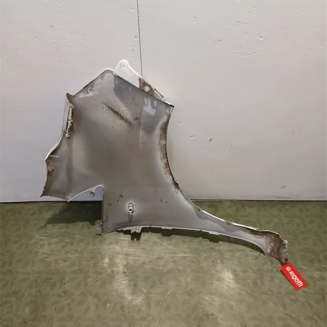 Parafango anteriore sinistro