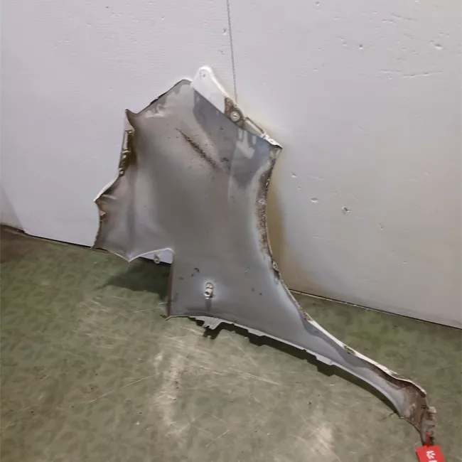 Parafango anteriore sinistro