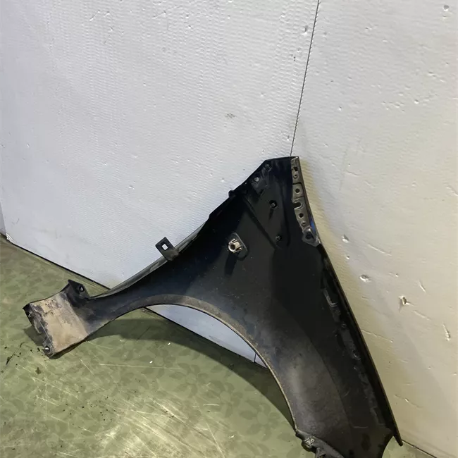Parafango anteriore sinistro