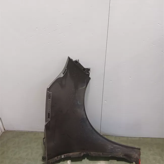 Parafango anteriore sinistro