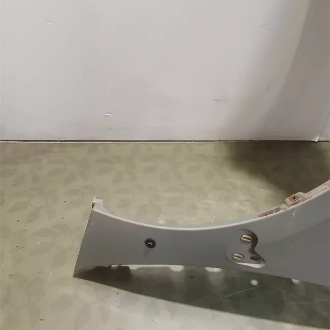 Parafango anteriore sinistro