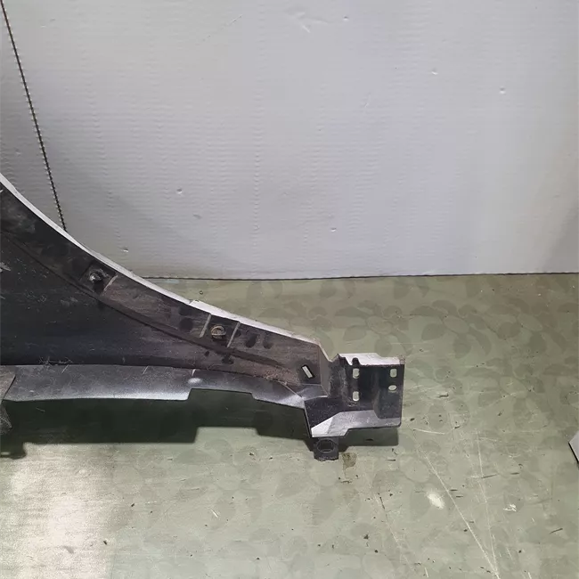 Parafango anteriore sinistro