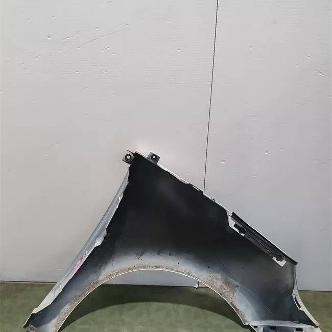 Parafango anteriore sinistro