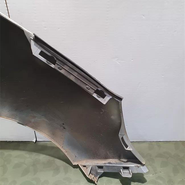 Parafango anteriore sinistro