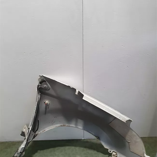 Parafango anteriore sinistro