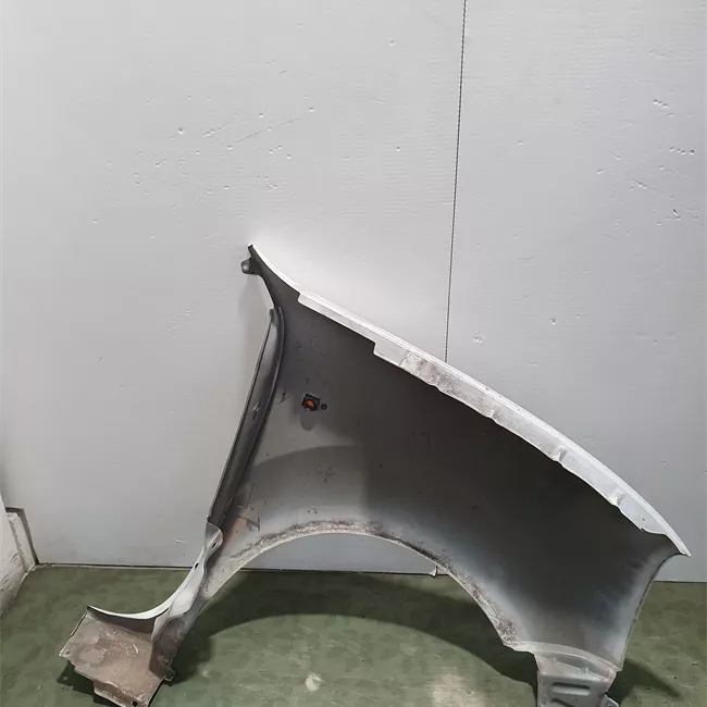 Parafango anteriore sinistro