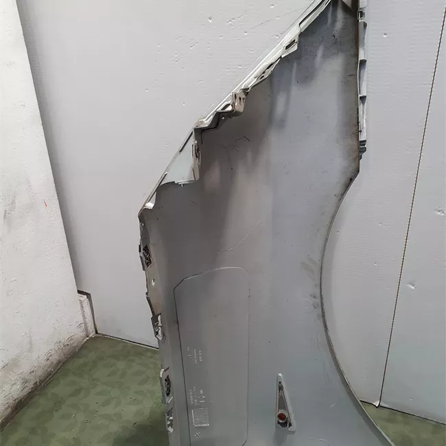 Parafango anteriore sinistro