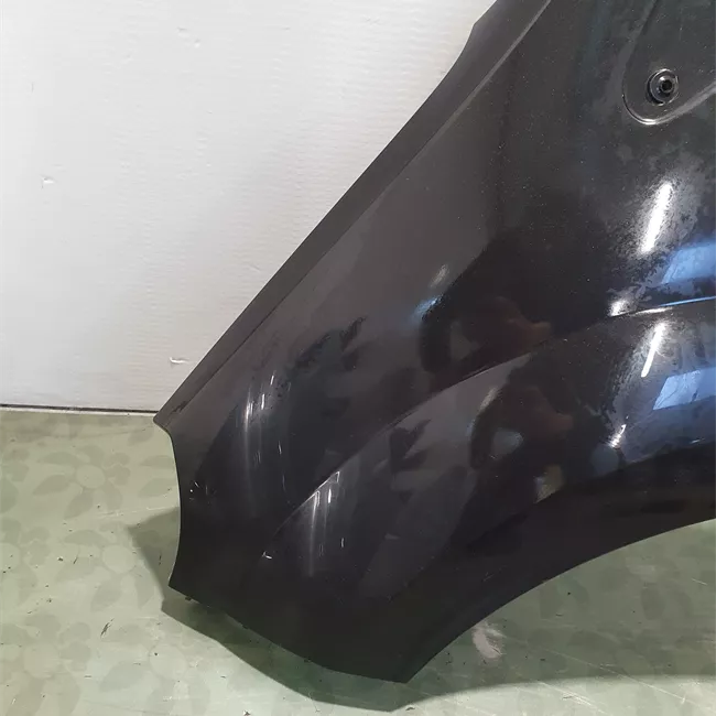 Parafango anteriore sinistro