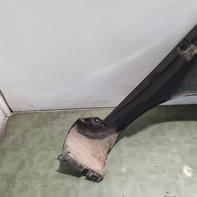 Parafango anteriore sinistro