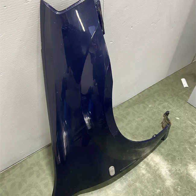 Parafango anteriore destro a699913