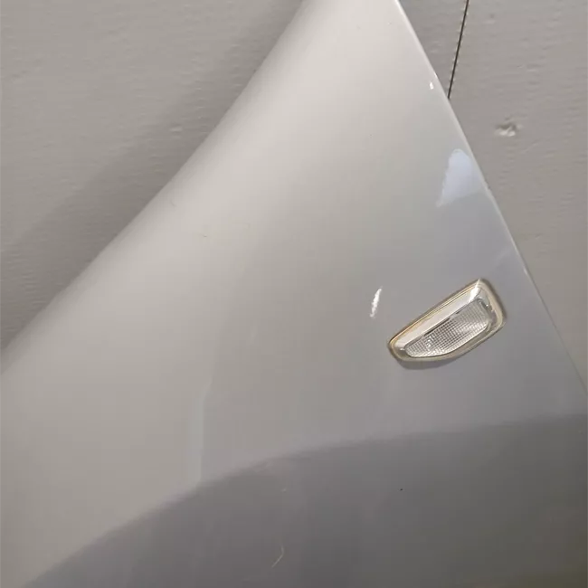 Parafango anteriore sinistro