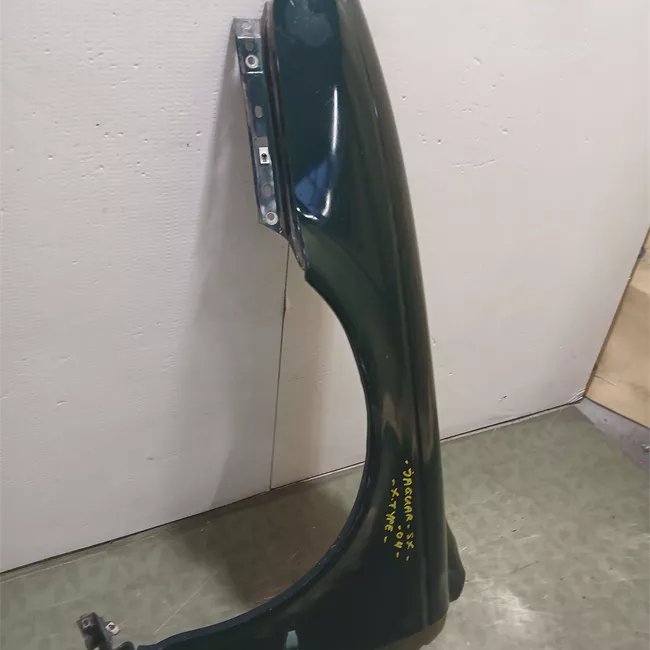 Parafango anteriore sinistro